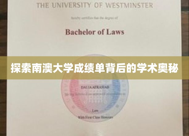 解码南澳大学成绩单，揭开学术成就的神秘面纱