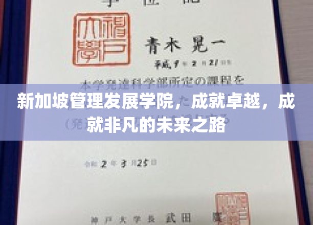 解码卓越，新加坡管理发展学院引领非凡未来航程