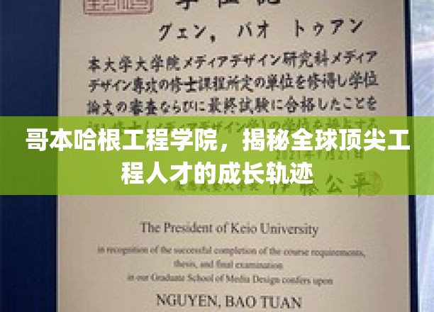 哥本哈根工程学院，揭秘全球顶尖工程人才的成长轨迹