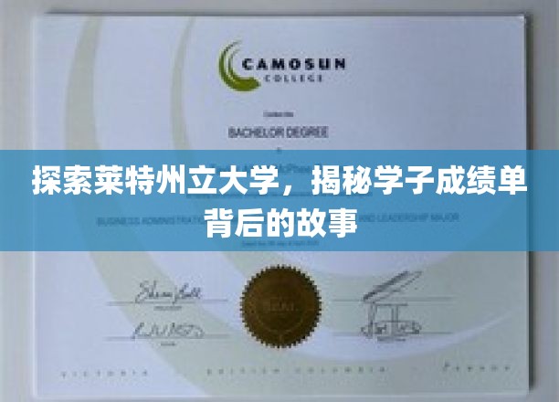 探索莱特州立大学，揭秘学子成绩单背后的故事