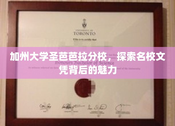 解码加州圣芭芭拉，名校文凭的魅力之旅