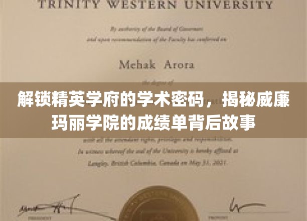 威廉玛丽学院卓越背后的学术奥秘，一窥精英学府的卓越之路