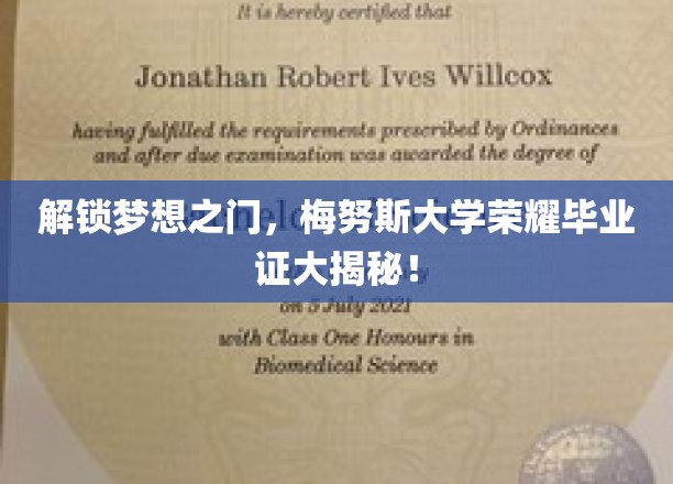 梅努斯荣耀，揭秘那些不为人知的毕业证背后的故事