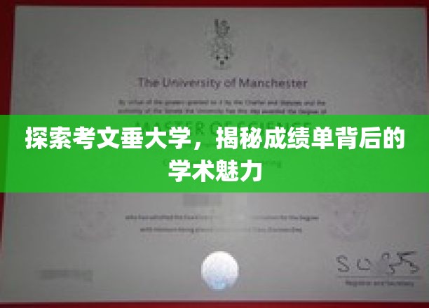 探索考文垂大学，揭秘成绩单背后的学术魅力