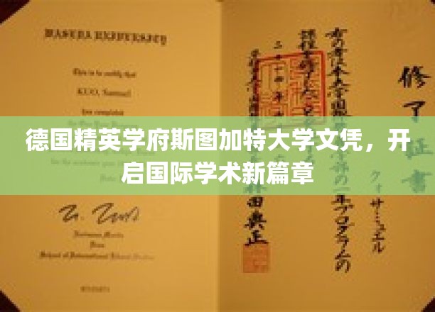 德国斯图加特大学荣耀文凭，引领全球学术新里程