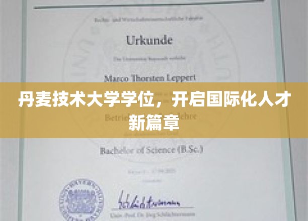 跨国梦想启航，丹麦技术大学学位助力全球精英培养
