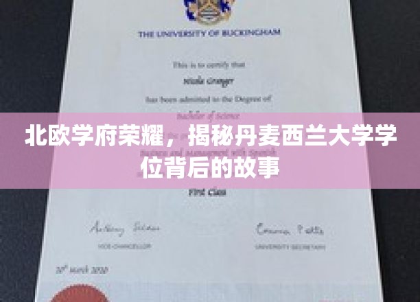 探寻丹麦西兰大学学位的北欧之光，一段荣耀背后的传奇旅程