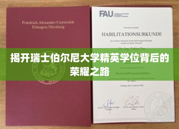 揭开瑞士伯尔尼大学精英学位背后的荣耀之路