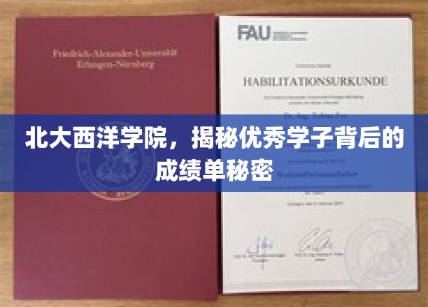 北大西洋学院揭秘，学霸背后的高分秘籍