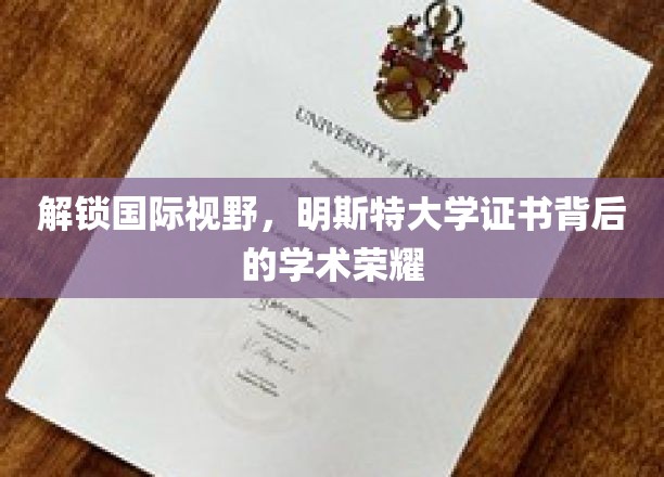 解锁国际视野，明斯特大学证书背后的学术荣耀