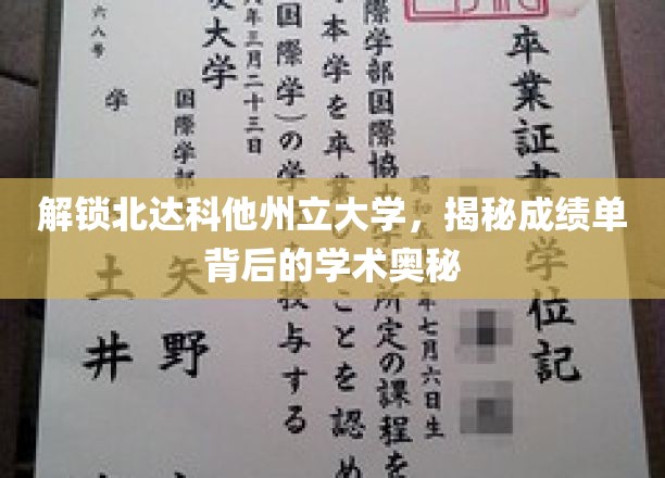 解锁北达科他州立大学，揭秘成绩单背后的学术奥秘