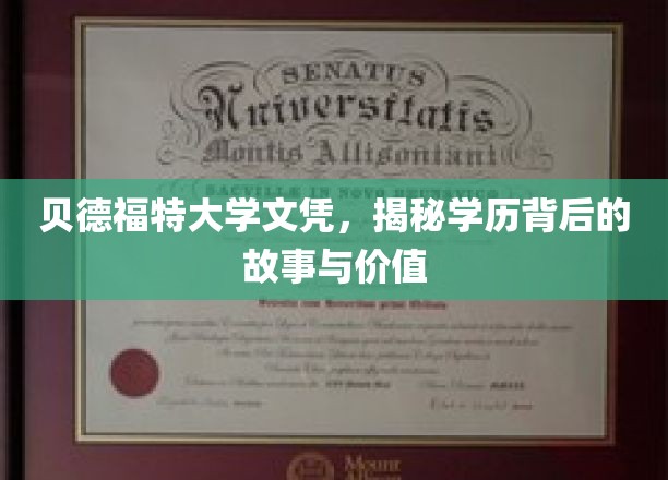 贝德福特大学文凭，揭秘学历背后的故事与价值