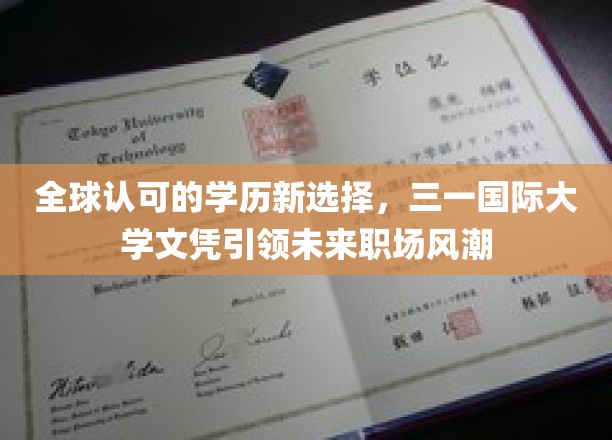 三一国际大学文凭，开启职场新潮流的全球通行证