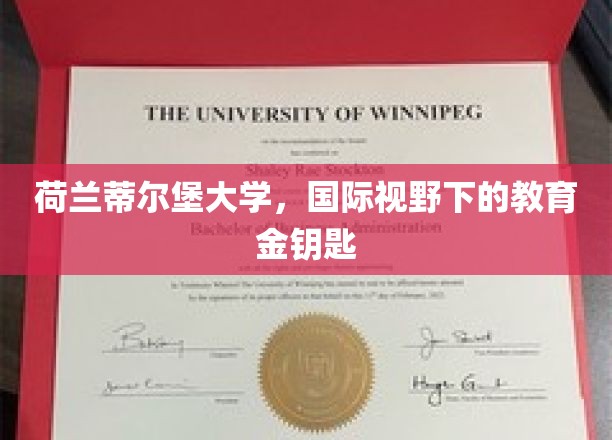 解锁全球视野，荷兰蒂尔堡大学的教育新篇章