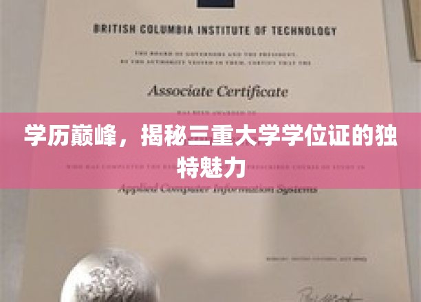多重荣耀，探索三重学位证的非凡魅力