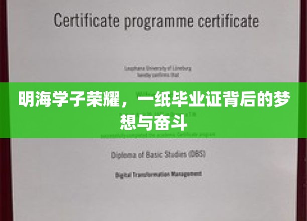 明海之光，毕业证书映照下的青春梦想与不懈追求