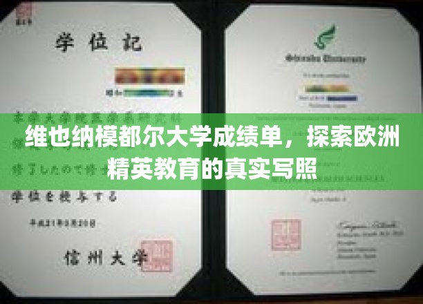 揭开维也纳模都尔大学成绩单，一窥欧洲精英教育风采