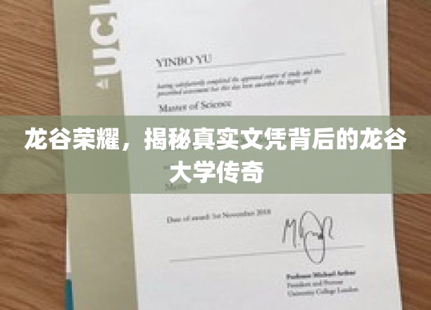 龙谷学府传奇，探寻文凭背后的真实大学风采