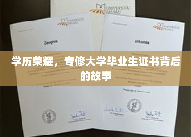 学历之光，揭秘专修大学毕业生证书背后的非凡旅程
