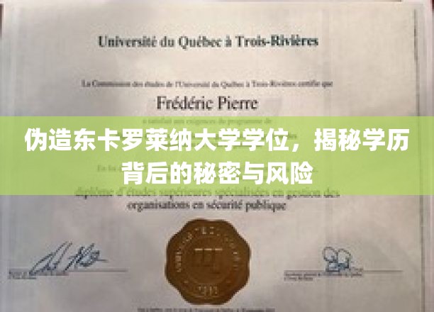 学历陷阱，揭秘伪造东卡罗莱纳大学学位的潜规则与后果