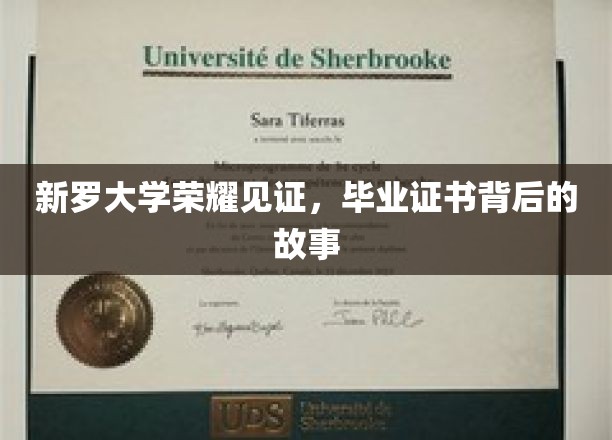 新罗荣耀瞬间，探寻毕业证书背后的非凡历程