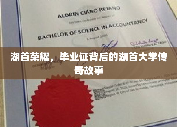 湖首之光，毕业证书背后的传奇校园秘闻
