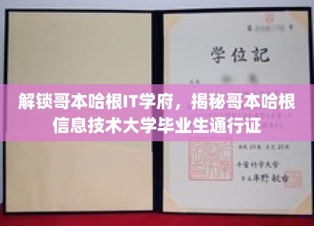 哥本哈根IT学府毕业生通行证，揭秘北欧硅谷的秘密武器