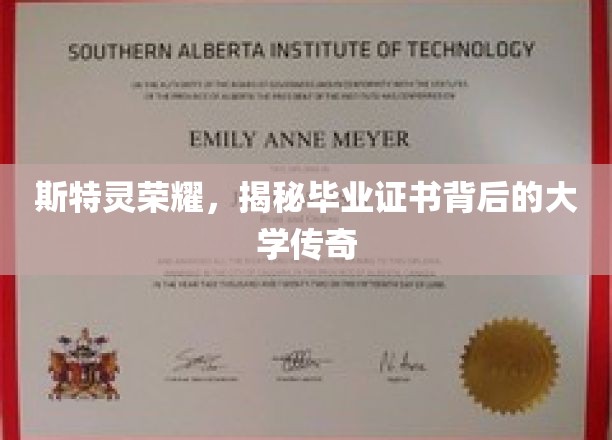 斯特灵荣耀，揭秘毕业证书背后的大学传奇