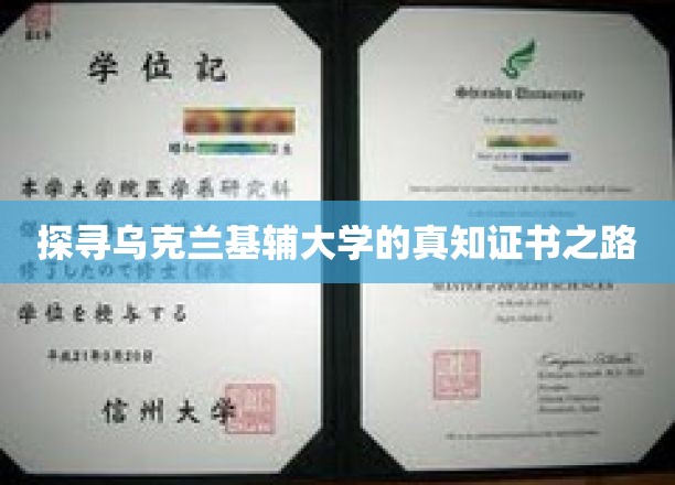 解锁基辅大学证书的神秘之旅