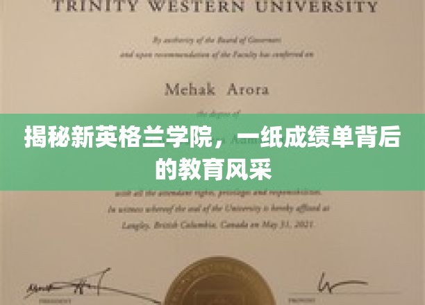 揭秘新英格兰学院：一纸成绩单背后的教育风采