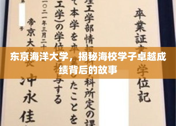 海校精英之路，东京海洋大学学子的卓越成绩背后传奇