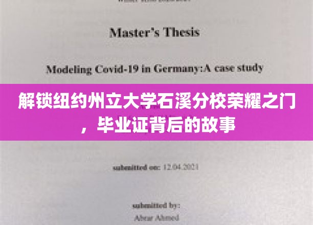 石溪之光，探寻纽约州立大学石溪分校毕业证背后的辉煌历程