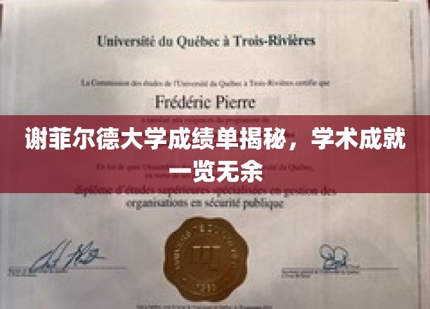 谢菲尔德大学成绩单揭秘，学术成就一览无余