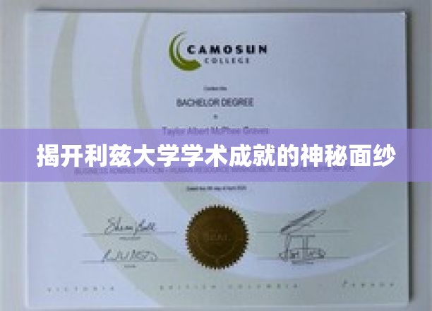 揭开利兹大学学术成就的神秘面纱