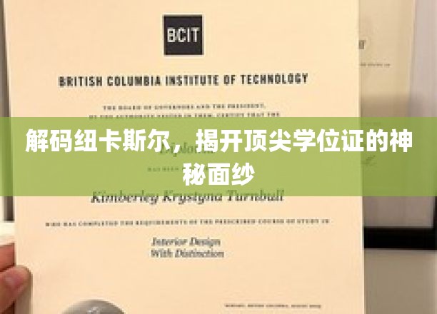 探寻纽卡斯尔精英学位背后的传奇故事