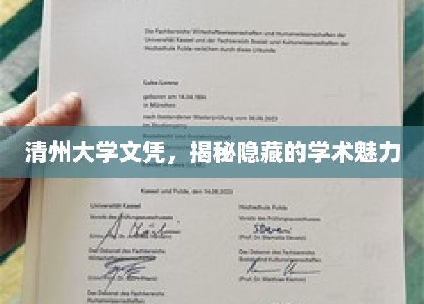 清州大学文凭，揭秘隐藏的学术魅力