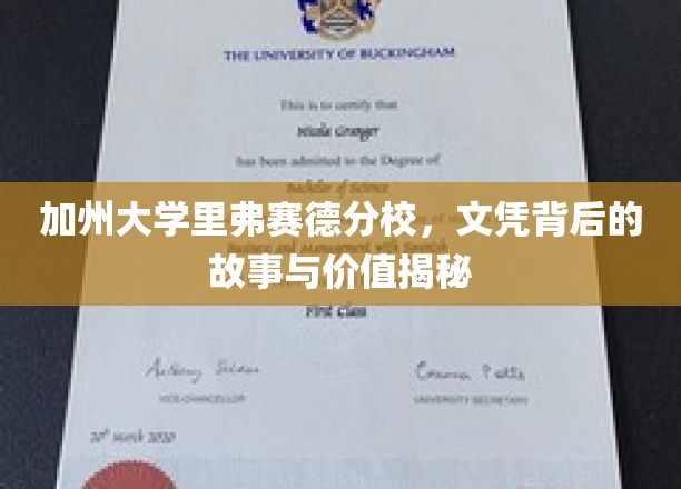 解码加州大学里弗赛德分校，文凭背后的传奇与真实价值