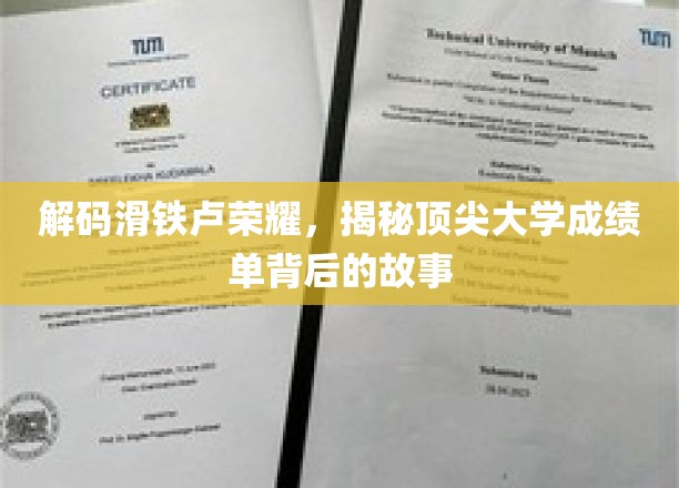 解码滑铁卢荣耀，揭示顶尖大学成绩单背后的故事