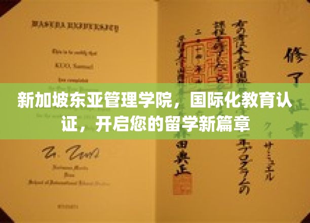 跨越国际视野，新加坡东亚管理学院助力留学梦想启航