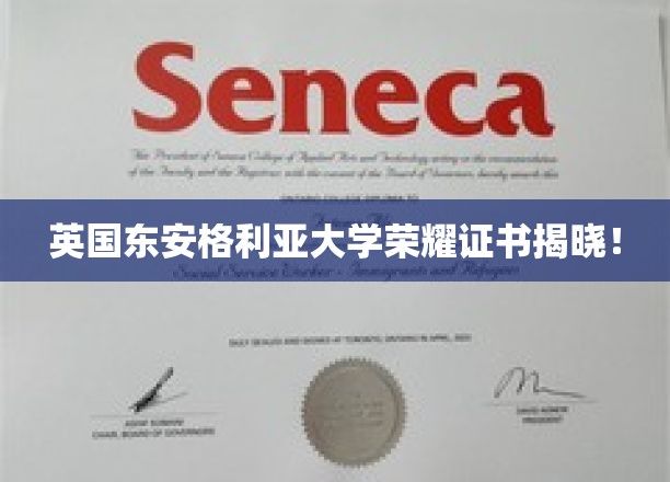 英伦学府荣耀绽放，东安格利亚大学证书盛启盛典