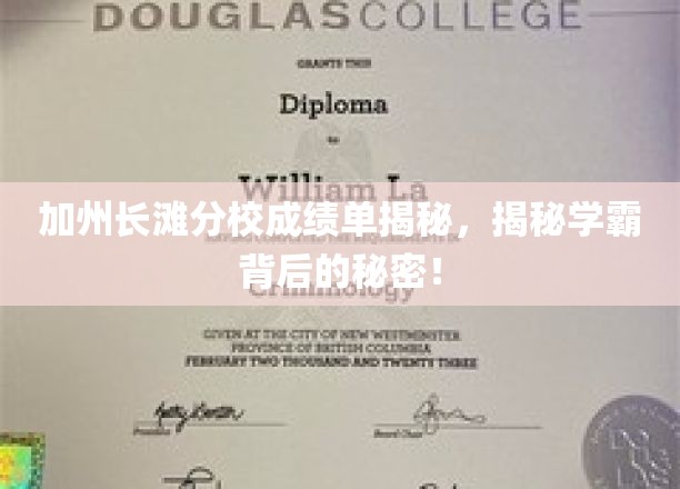 揭秘加州长滩分校学霸，成绩单背后的惊人故事