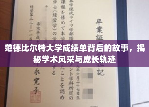 解码范德比尔特大学，成绩单中的学术魅力与青春足迹