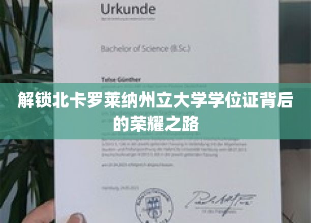 探寻北卡罗莱纳大学荣耀学位的神秘征程