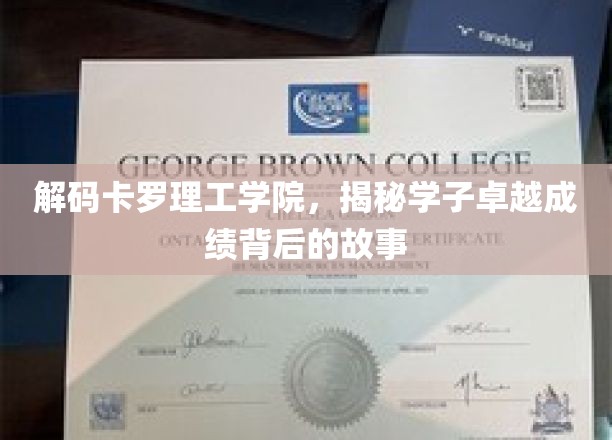 解码卡罗理工学院,揭秘学子卓越成绩背后的故事