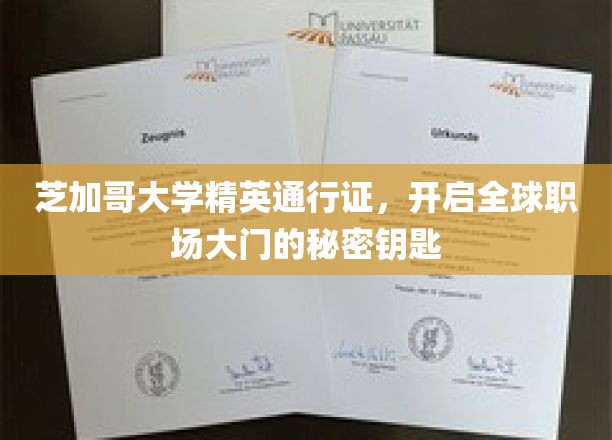 芝加哥大学精英护照，解锁国际职场新纪元的神秘钥匙