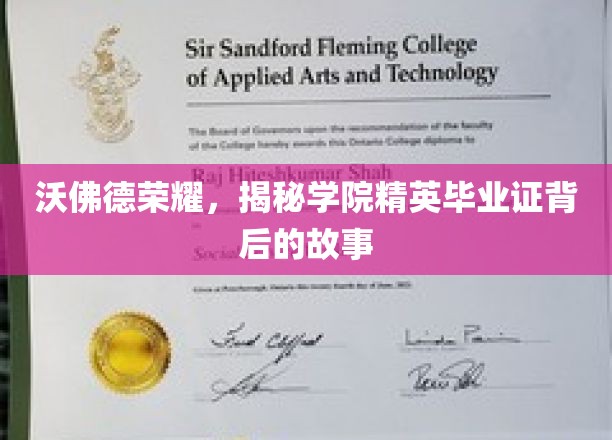 沃佛德荣耀，揭秘学院精英毕业证背后的故事