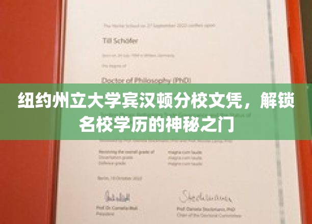 纽约州立大学宾汉顿分校文凭，助你轻松踏入顶尖学府的精英行列