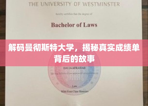 揭开曼大成绩单神秘面纱，探寻学术背后的真实故事