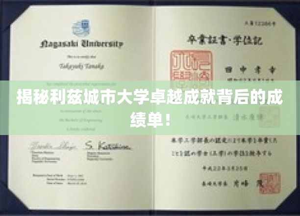 利兹城市大学，揭秘其辉煌成就的惊人数据背后