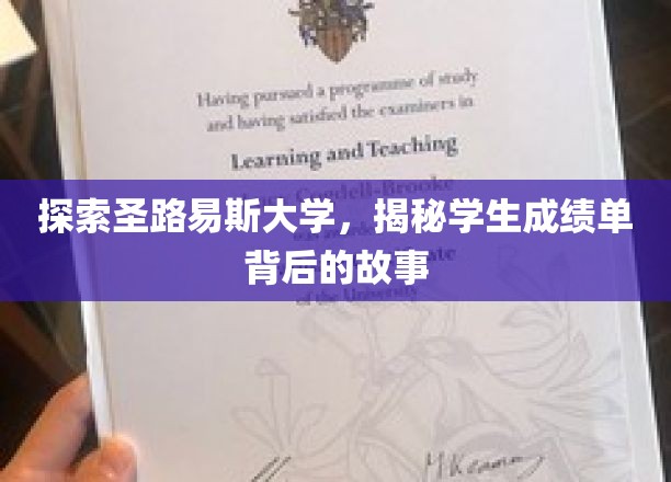 揭开圣路易斯大学成绩单的神秘面纱，学生背后的奋斗轨迹
